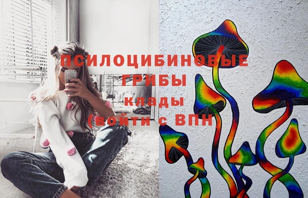 стафф Богородицк